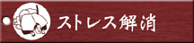 �X�g���X����