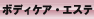 �{�f�B�P�A�E�G�X�e