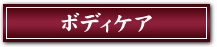 �{�f�B�P�A�E�G�X�e